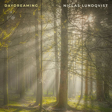 Niclas Lundqvist - Daydreaming