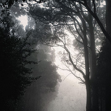 Domy Castellano - Images, Vol. 6