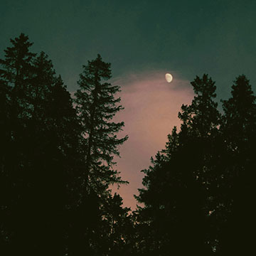 Human Is Alive - Never Ending