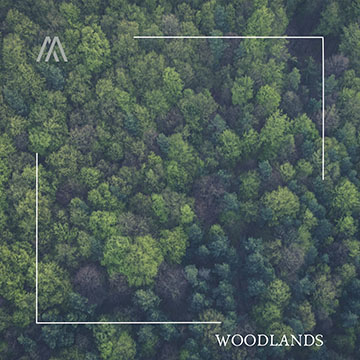 Andrea Accorsi - Woodlands